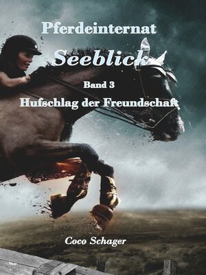 cover image of Pferdeinternat Seeblick Band 3